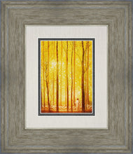 Load image into Gallery viewer, Awesome Wonder
