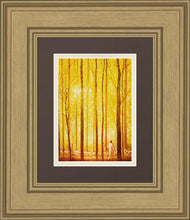 Load image into Gallery viewer, Awesome Wonder
