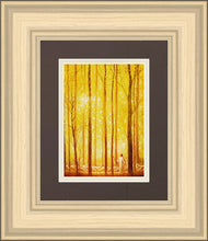 Load image into Gallery viewer, Awesome Wonder
