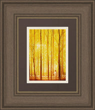 Load image into Gallery viewer, Awesome Wonder
