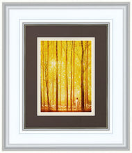 Load image into Gallery viewer, Awesome Wonder
