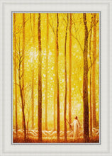 Load image into Gallery viewer, Awesome Wonder
