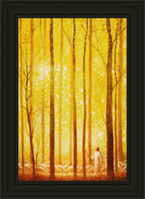 Load image into Gallery viewer, Awesome Wonder
