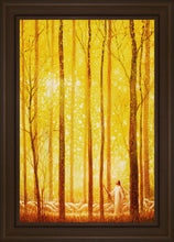 Load image into Gallery viewer, Awesome Wonder
