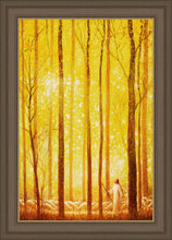 Load image into Gallery viewer, Awesome Wonder

