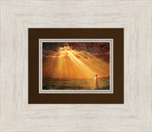 Load image into Gallery viewer, Rejoice in His Light
