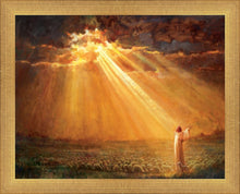 Load image into Gallery viewer, Rejoice in His Light
