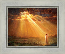 Load image into Gallery viewer, Rejoice in His Light
