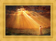 Load image into Gallery viewer, Rejoice in His Light
