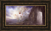 Load image into Gallery viewer, For This Purpose
