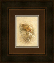 Load image into Gallery viewer, Found
