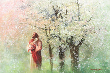 Load image into Gallery viewer, Heavenly Blossoms
