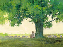 Load image into Gallery viewer, Morning Solace

