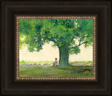 Load image into Gallery viewer, Morning Solace
