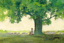 Load image into Gallery viewer, Morning Solace
