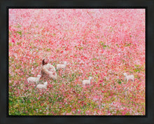 Load image into Gallery viewer, Shepherd's Rest

