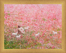 Load image into Gallery viewer, Shepherd's Rest
