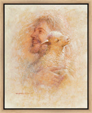 Load image into Gallery viewer, Little Lamb
