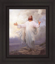 Load image into Gallery viewer, For This Purpose
