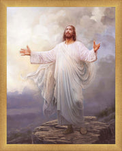 Load image into Gallery viewer, For This Purpose
