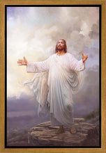 Load image into Gallery viewer, For This Purpose
