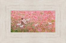 Load image into Gallery viewer, Shepherd's Rest
