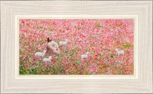 Load image into Gallery viewer, Shepherd's Rest
