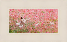 Load image into Gallery viewer, Shepherd's Rest
