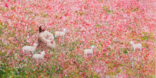 Load image into Gallery viewer, Shepherd's Rest
