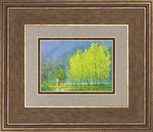 Load image into Gallery viewer, Moment of Peace
