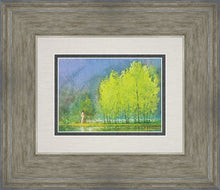 Load image into Gallery viewer, Moment of Peace
