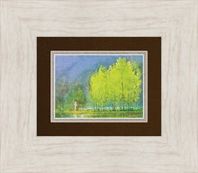Load image into Gallery viewer, Moment of Peace
