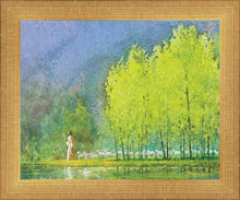 Load image into Gallery viewer, Moment of Peace
