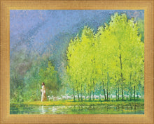 Load image into Gallery viewer, Moment of Peace
