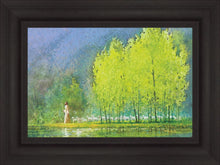 Load image into Gallery viewer, Moment of Peace
