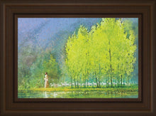 Load image into Gallery viewer, Moment of Peace
