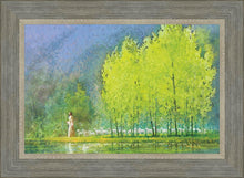 Load image into Gallery viewer, Moment of Peace
