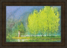 Load image into Gallery viewer, Moment of Peace
