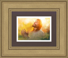 Load image into Gallery viewer, A Perfect Peace
