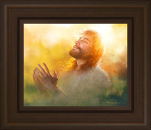 Load image into Gallery viewer, A Perfect Peace
