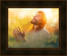 Load image into Gallery viewer, A Perfect Peace
