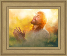Load image into Gallery viewer, A Perfect Peace
