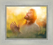 Load image into Gallery viewer, A Perfect Peace

