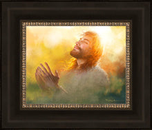 Load image into Gallery viewer, A Perfect Peace
