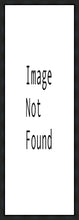 Load image into Gallery viewer, The First Gift
