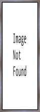 Load image into Gallery viewer, The First Gift

