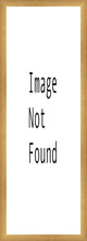 Load image into Gallery viewer, The First Gift
