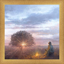 Load image into Gallery viewer, The Light of Life
