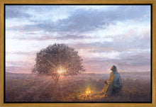 Load image into Gallery viewer, The Light of Life
