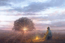 Load image into Gallery viewer, The Light of Life
